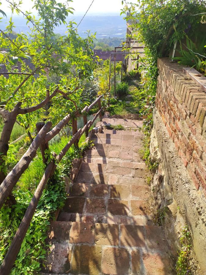 Casa Mantel Holiday Home Panoramic View In Langhe Novello Exterior photo