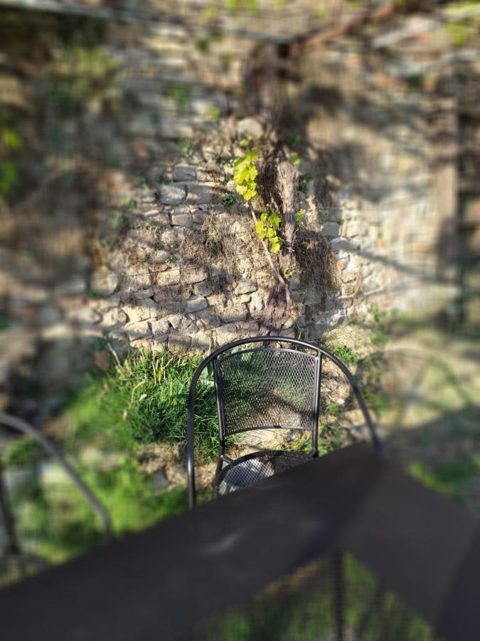 Casa Mantel Holiday Home Panoramic View In Langhe Novello Exterior photo