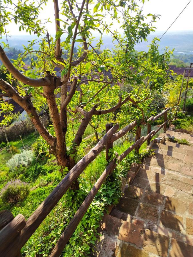 Casa Mantel Holiday Home Panoramic View In Langhe Novello Exterior photo